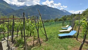 Property grounds - Rustico Rebustella by Interhome (Valtellina)