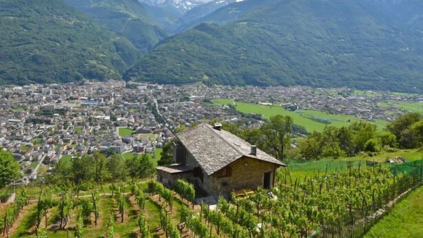 Exterior - Rustico Rebustella by Interhome (Valtellina)