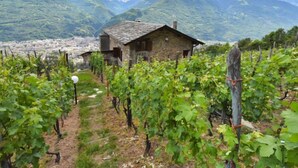 Property grounds - Rustico Rebustella by Interhome (Valtellina)