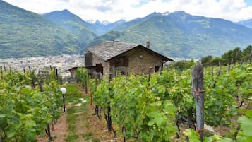 Parco della struttura