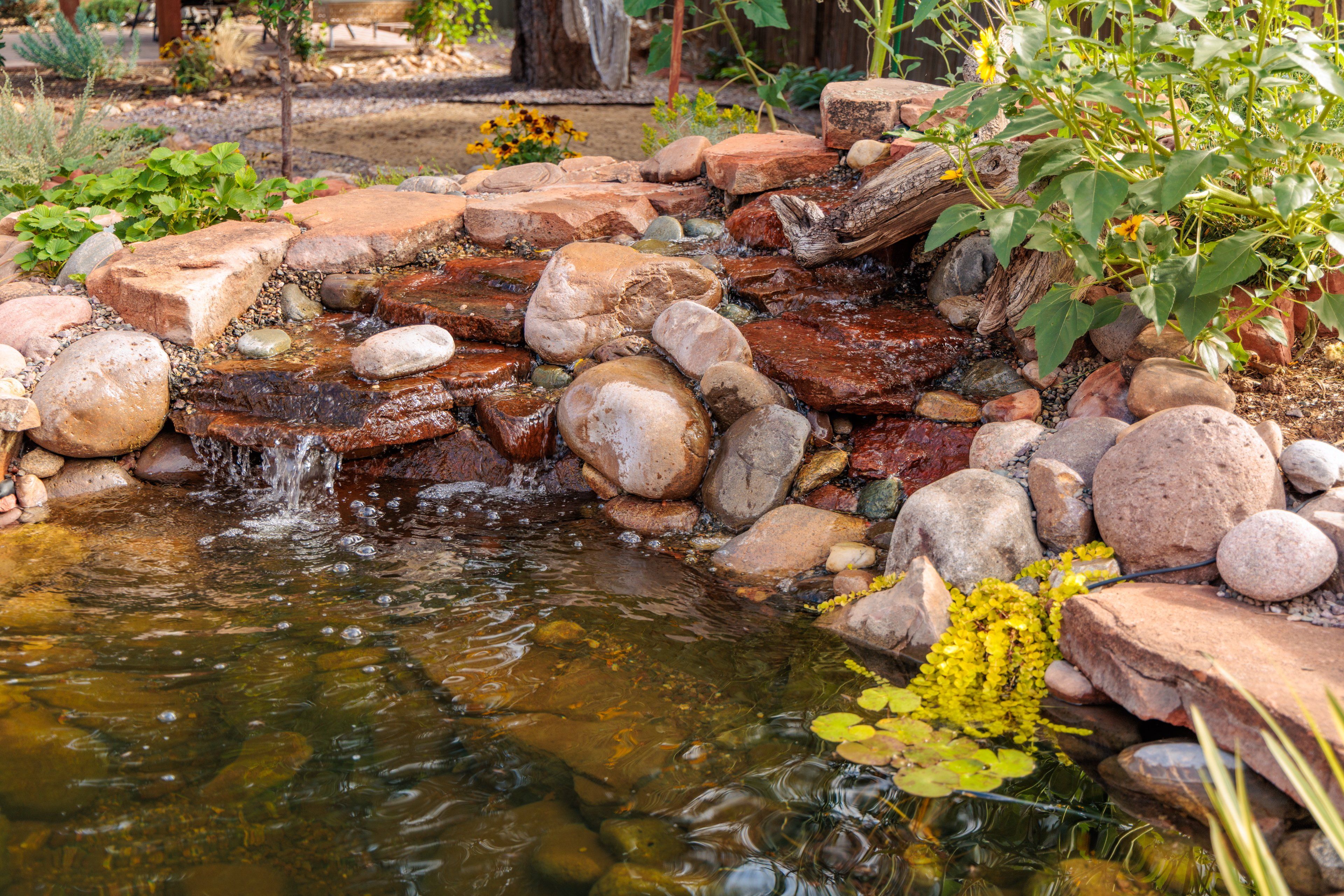 A small pond with a waterfall, surrounded by rocks and plants.