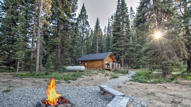 A cabin surrounded by tall pine trees, a fire pit with logs, and a gravel path leading to the cabin. - Cozy and Rustic "Bear Themed" Cabin~private pond and 7 miles to YNP entrance! (West Yellowstone)