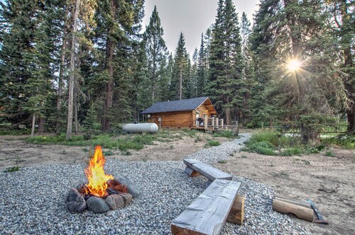 Cozy and Rustic "Bear Themed" Cabin~private pond and 7 miles to YNP entrance!