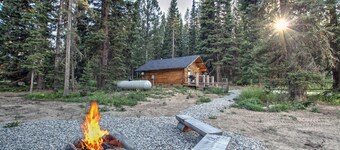 Cozy and Rustic "Bear Themed" Cabin~private pond and 7 miles to YNP entrance!