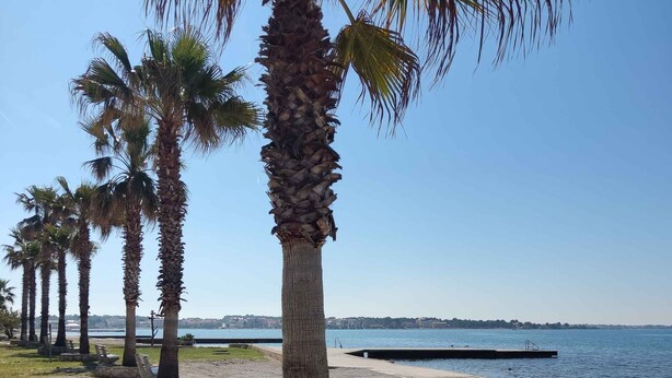 Eine Uferpromenade mit Palmen, einem Kiesstrand und Blick aufs Meer.