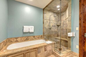 Combined shower/tub, hair dryer, shampoo