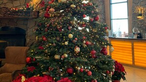 A large Christmas tree decorated with ornaments and lights, placed in a spacious lobby with stone walls and a fireplace. - ⛷️ SKI ONTO THE SLOPES • ⛳️ WALK ONTO THE LINKS • 🏔️ WESTGATE PARK CITY  (Park City)