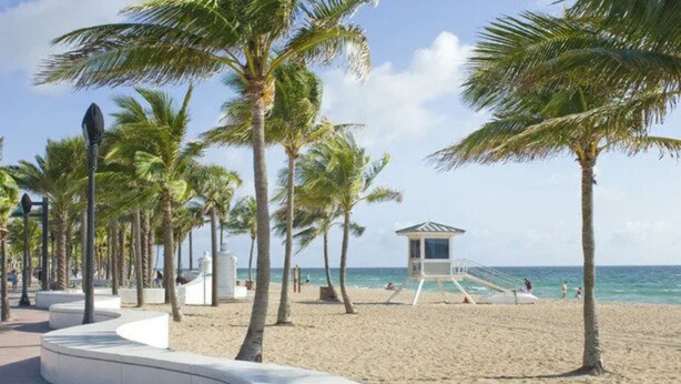 Une plage bordée de palmiers, une tour de surveillance pour les sauveteurs et une promenade sinueuse.