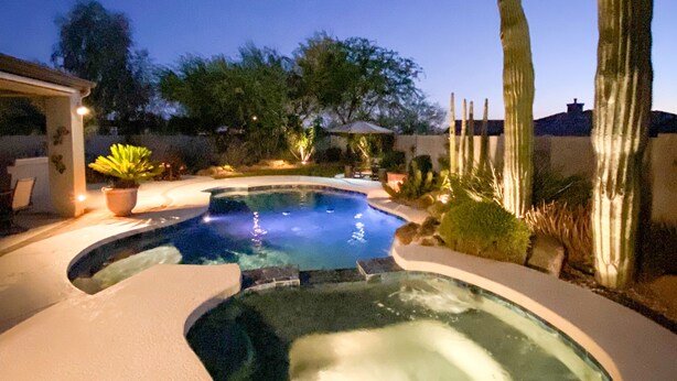 Una piscina amb una banyera d'hidromassatge, envoltada de cactus i una zona de pati coberta.