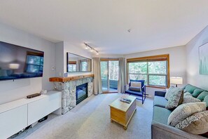 TV, fireplace, video library