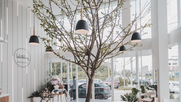A modern cafe interior with round tables, wooden chairs, hanging pendant lights, and a central tree. - Mintel Huamark (Bangkok)