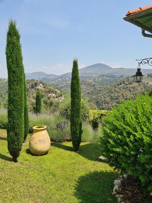Un jardín con altos cipreses, una maceta grande y vistas a un paisaje montañoso.