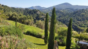 Un paysage verdoyant et luxuriant, avec des collines douces et une vue dégagée sur les montagnes lointaines.