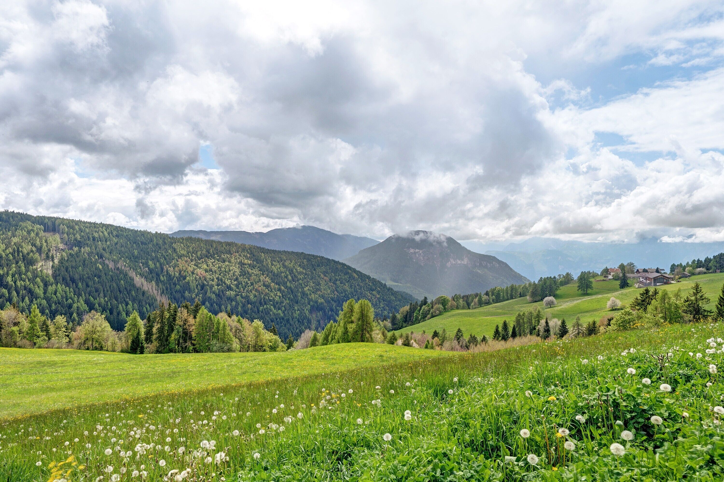 Paesaggio montuoso con un campo di tarassaci in primo piano e un villaggio sullo sfondo.