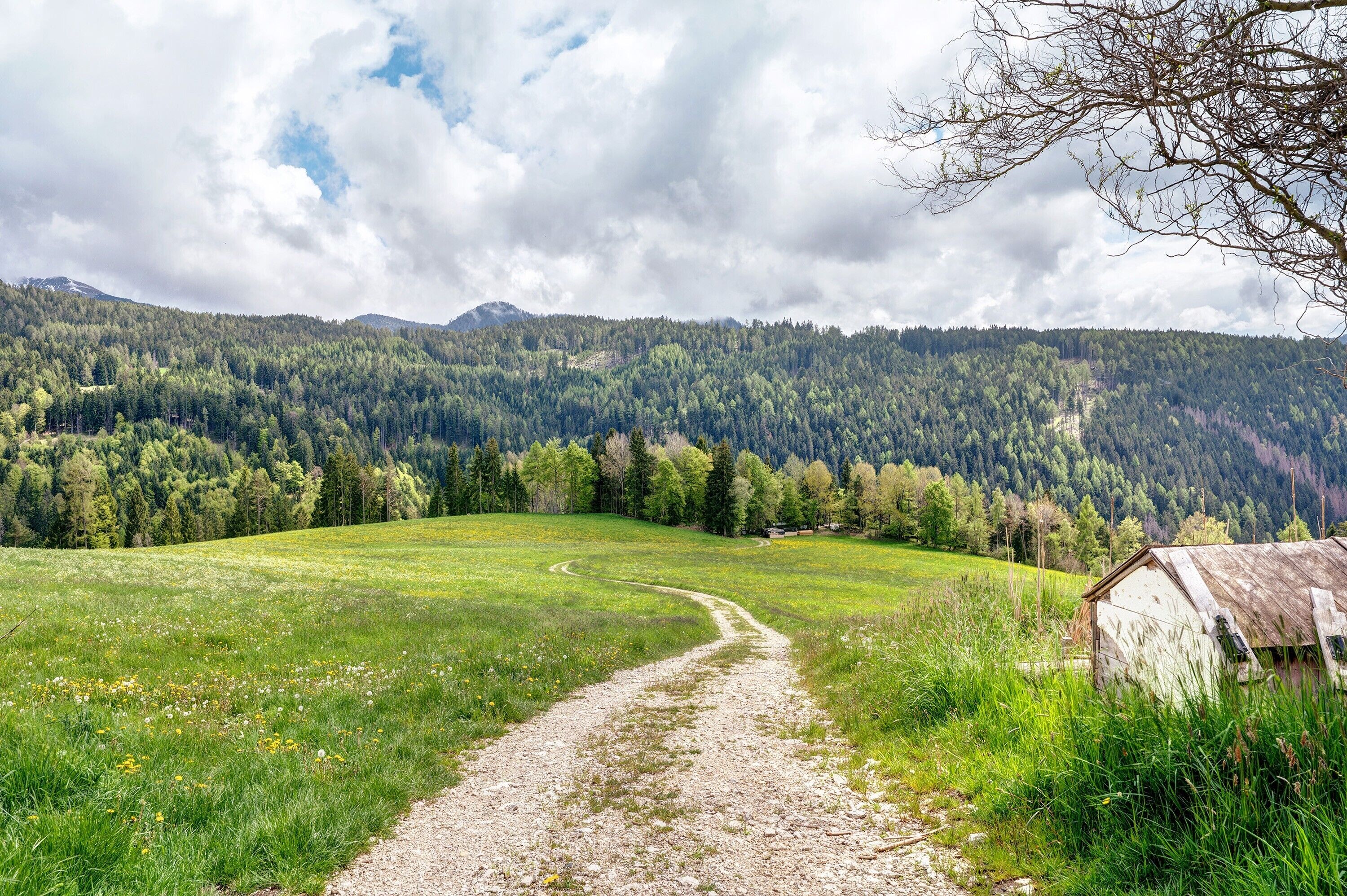 A rural landscape with a dirt path leading to a white building, surrounded by dense forest and mountains.