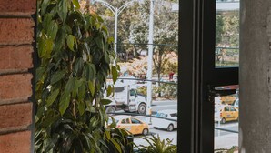 A view through a window with a potted plant and a brick wall. - Industrial Chic Loft in Front of Unicentro Mall (Medellín)