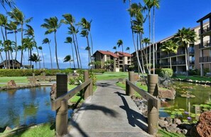 Property grounds - Beautiful PAPAKEA direct walkout OCEAN front 1bdr/1bath,A/C and views for dayz! (Lahaina)