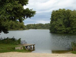 صورة غير مصنفة، 4 من 6، زرّ