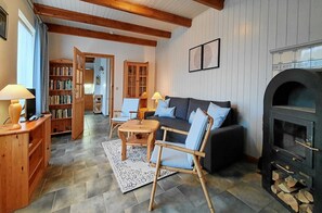 Televisión y chimenea