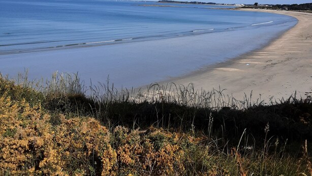 Ein Strand mit blauem Himmel, ruhiger See und einem grasbewachsen Vordergrund.