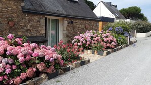 Ein Steinhaus mit Tür und Fenstern, umgeben von Kies und Blumenbeeten mit rosa und roten Blüten.