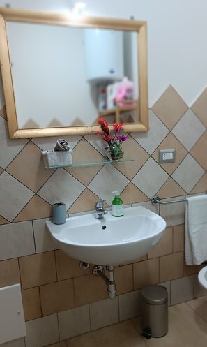 Dusche, Haartrockner, Bidet, Handtücher