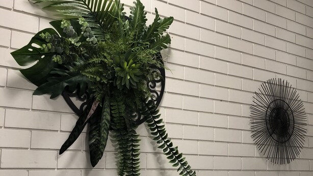 A wall-mounted plant arrangement with a black metal decorative piece to the right.