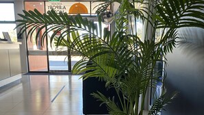 A reception area with a potted plant, a reception desk, and a sign indicating the exit.