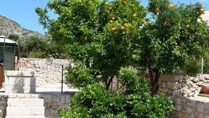 Eine steine Mauer mit einem kleinen Baum, der Früchte trägt, ein gepflasterter Weg und ein Steinhaus im Hintergrund.