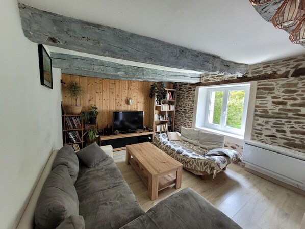 Fireplace, DVD player, books