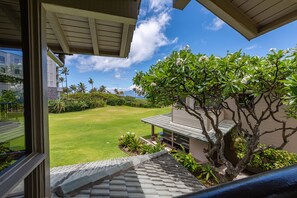 Property grounds - Watch Maui Sunsets Over the Pacific—Oceanfront Luxury at Kapalua Bay 38G3 (Lahaina)