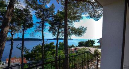 Modern Apartment on the Beautiful Croatia Coast