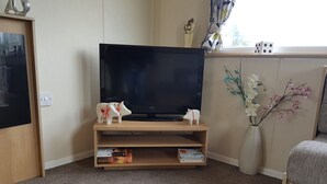A living room with a TV on a wooden stand, a vase with flowers, and a window with curtains. - Pool-garden-2br-parking-wifi-sleeps6 (Paignton)