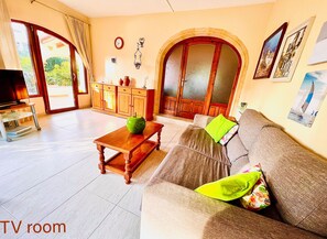 TV, fireplace, books, music library