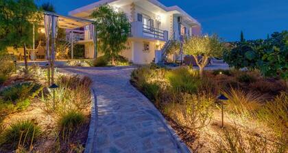 Poseidonia Syros Cozy House