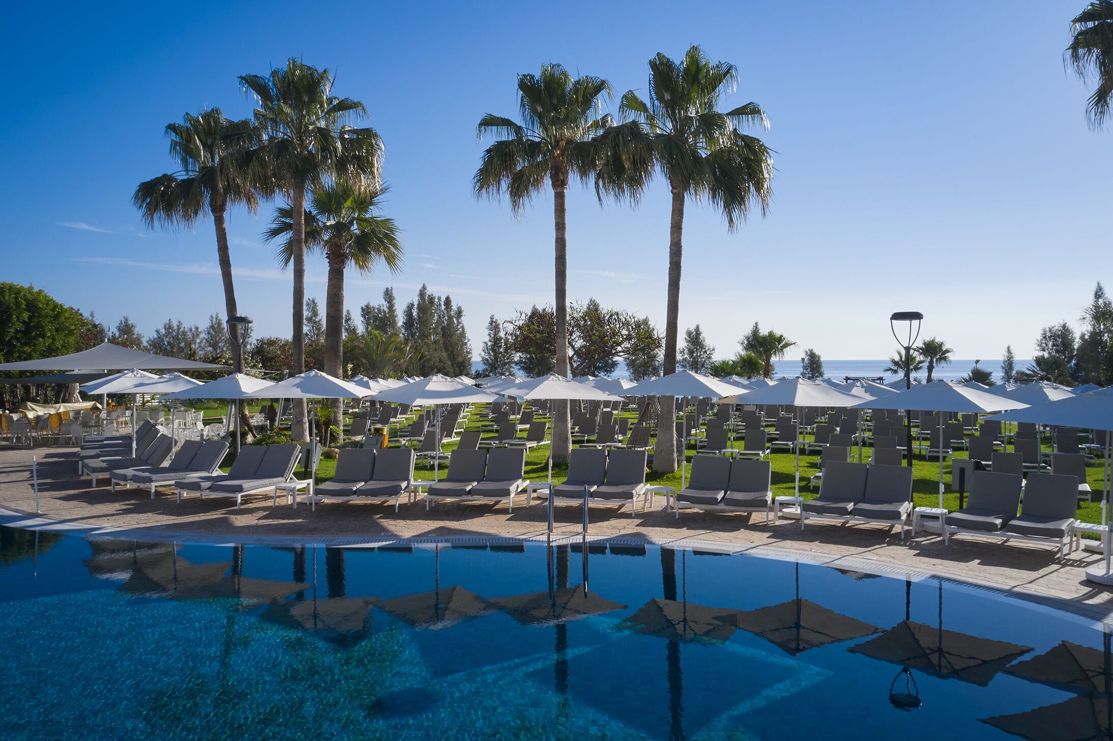 A poolside area with lounge chairs and umbrellas, palm trees, and a clear sky.