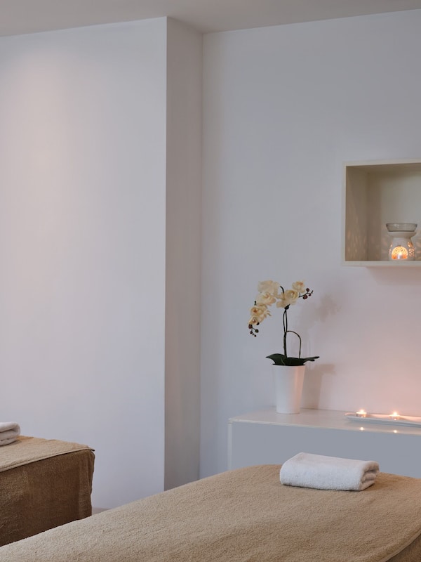 Body treatments, body wraps, body scrubs, facials