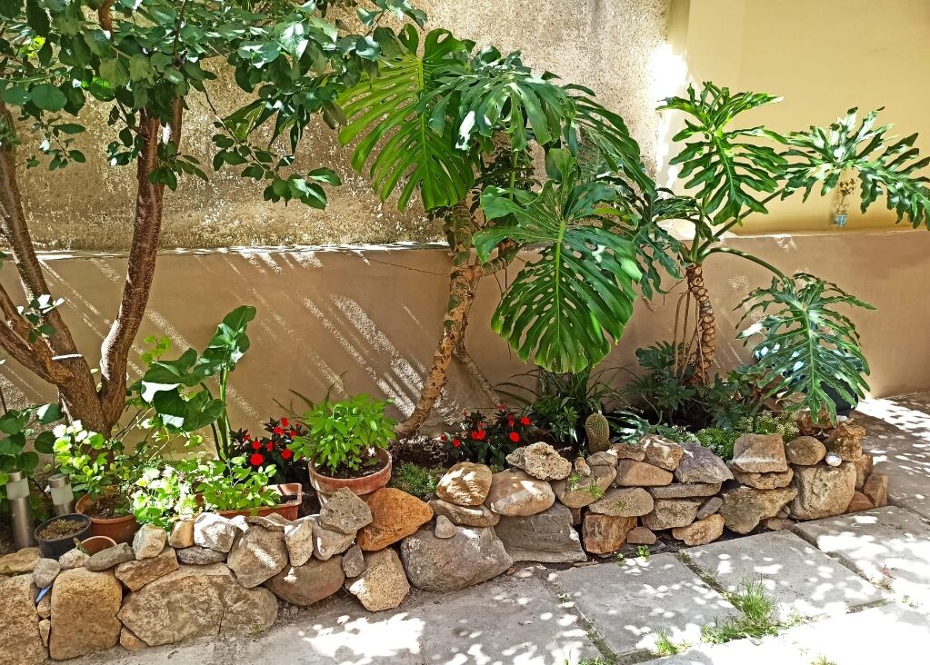A garden with various potted plants and a stone wall.