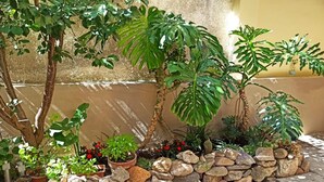 A garden with various potted plants and a stone wall. - Fabio&noemi (Domus De Maria)