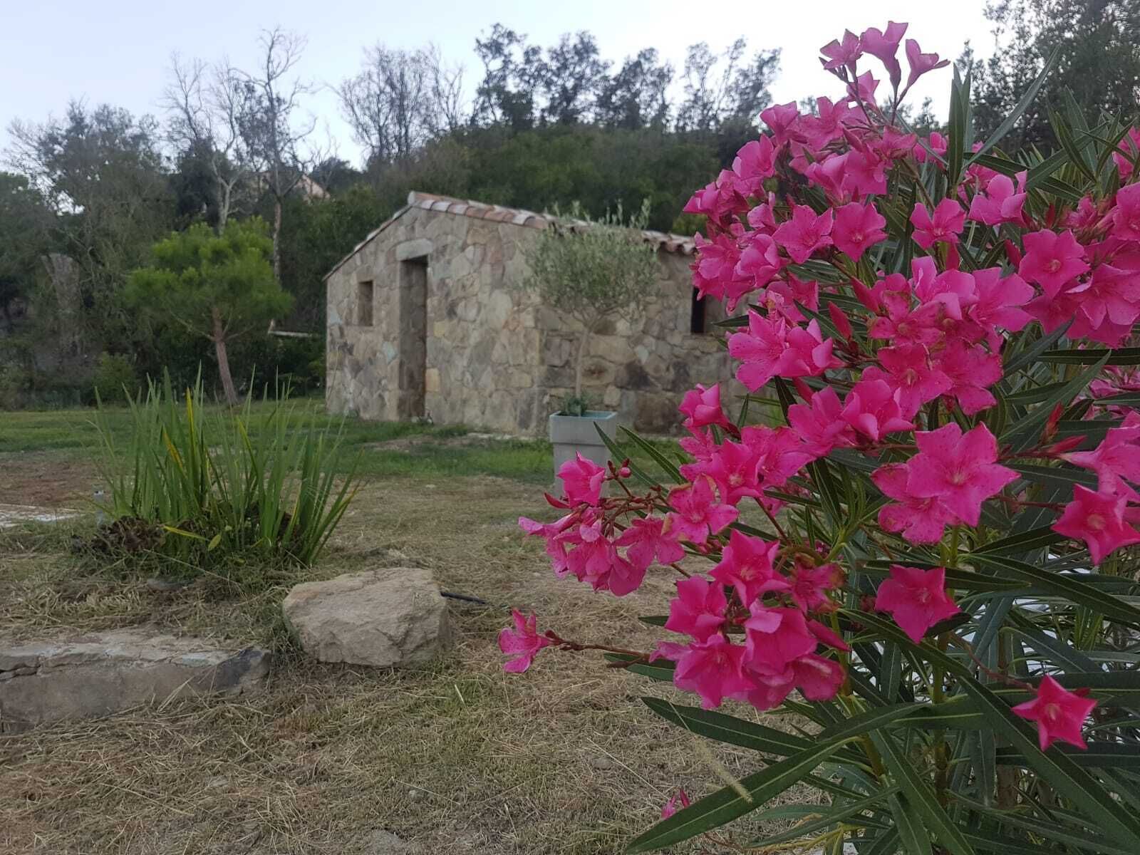 Overnatningsstedets område