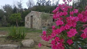 A stone building with a rustic appearance, surrounded by greenery and pink flowers. - Nice and quiet 3-room apartment with swimming pool Casa Lisa  (Prunelli-di-Fiumorbo)