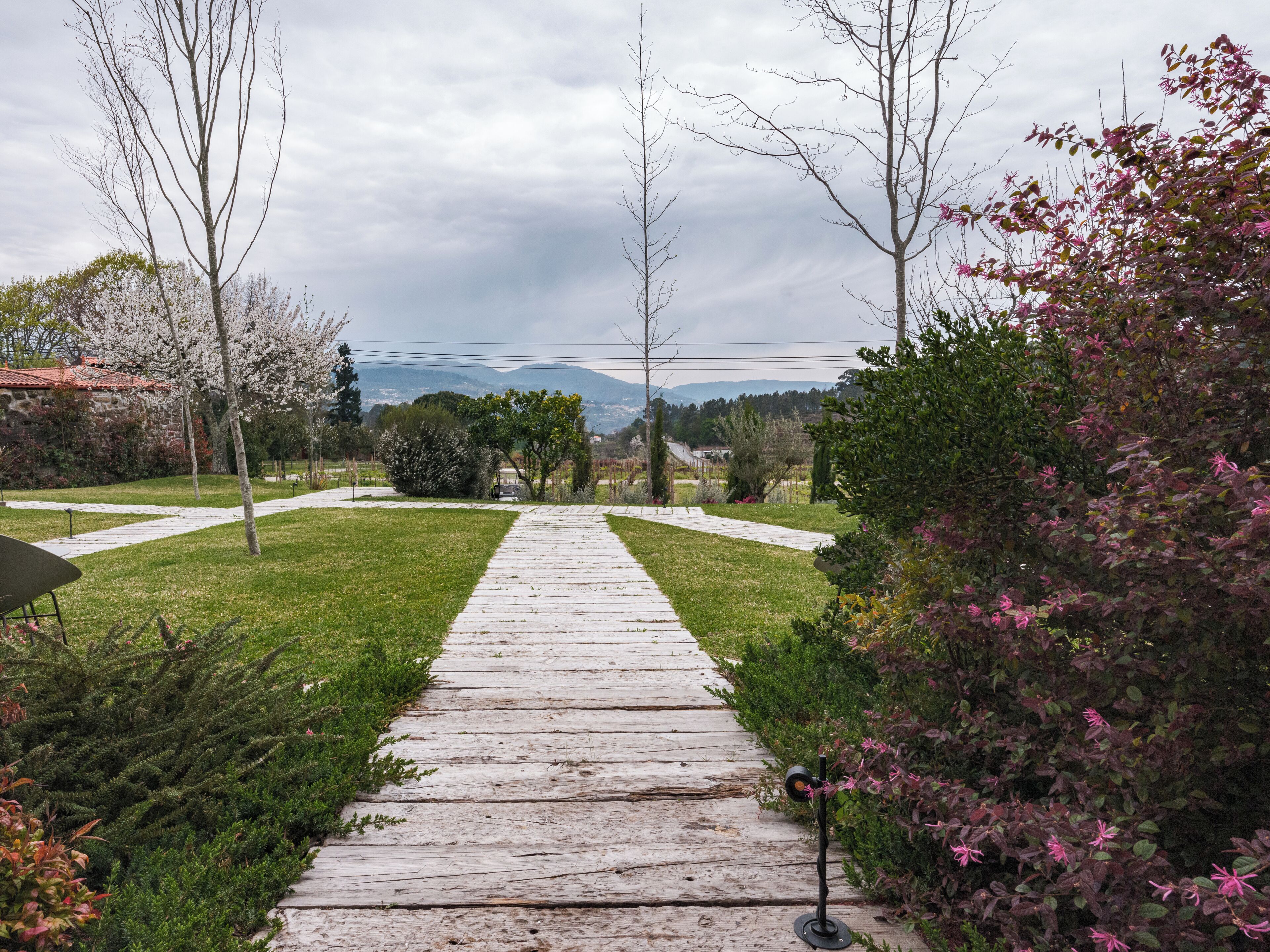 Photo - Lavandeira Douro Nature & Wellness