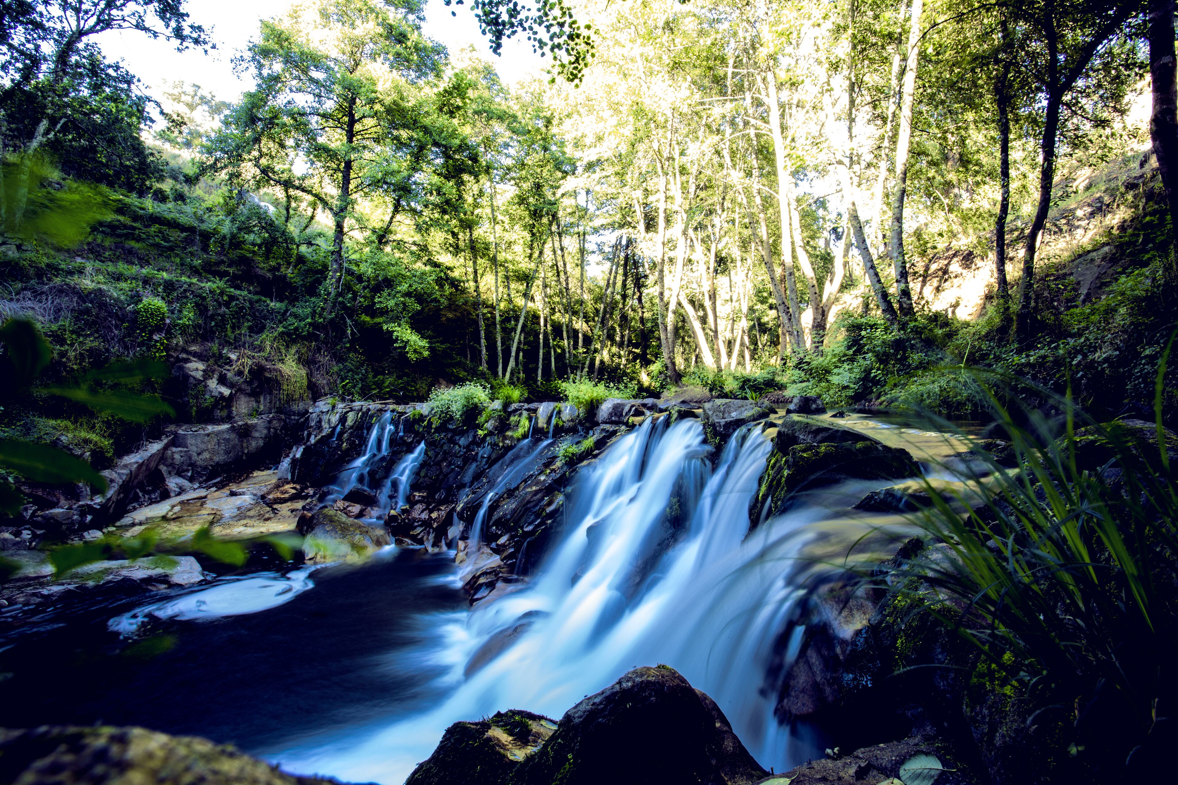 Photo - Lavandeira Douro Nature & Wellness