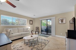 Älytelevisio, DVD-soitin