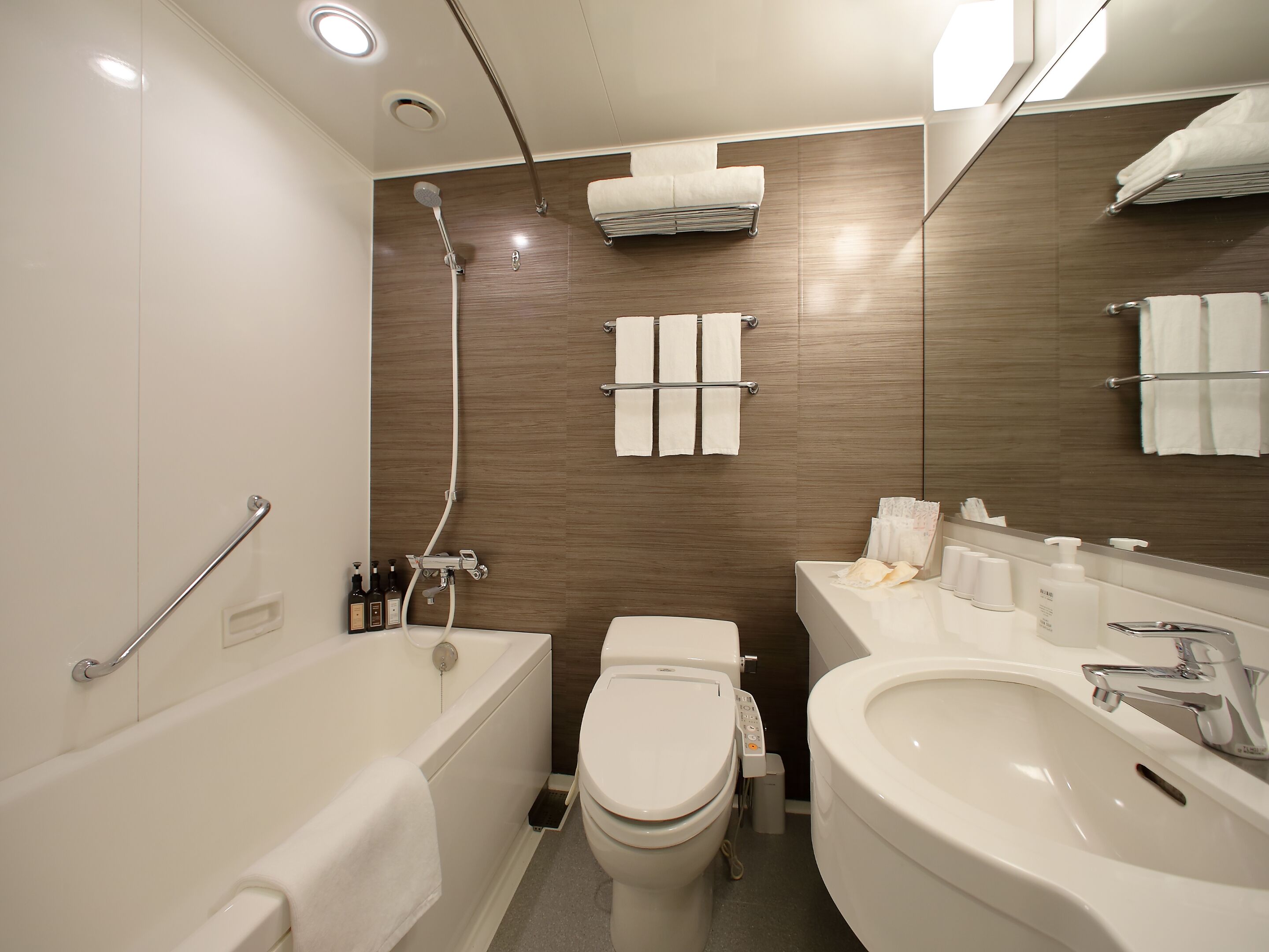 free toiletries, hair dryer, slippers, electronic bidet