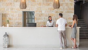 Zona de recepción con pared de piedra, dos lámparas colgantes, mostrador de recepción y una planta en maceta.