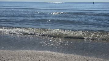 Plage à proximité