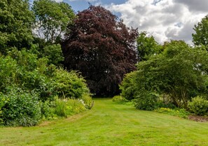 Stroll through the serene garden, surrounded by lush greenery and a majestic tree.