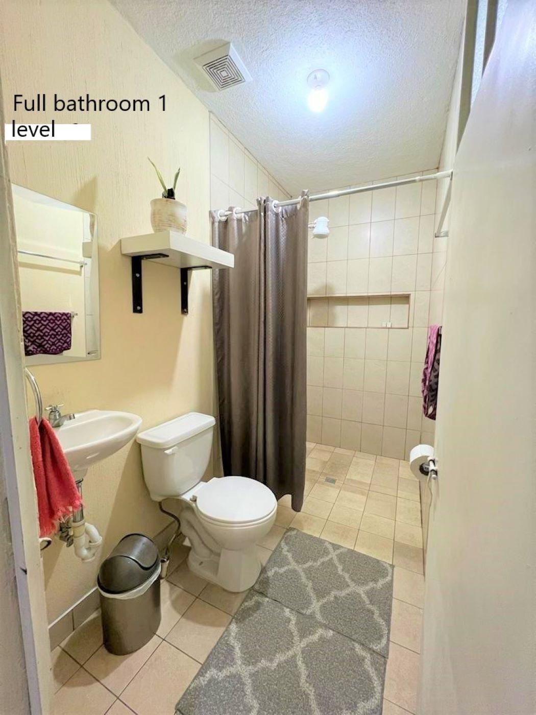 Shower, bidet, towels, soap