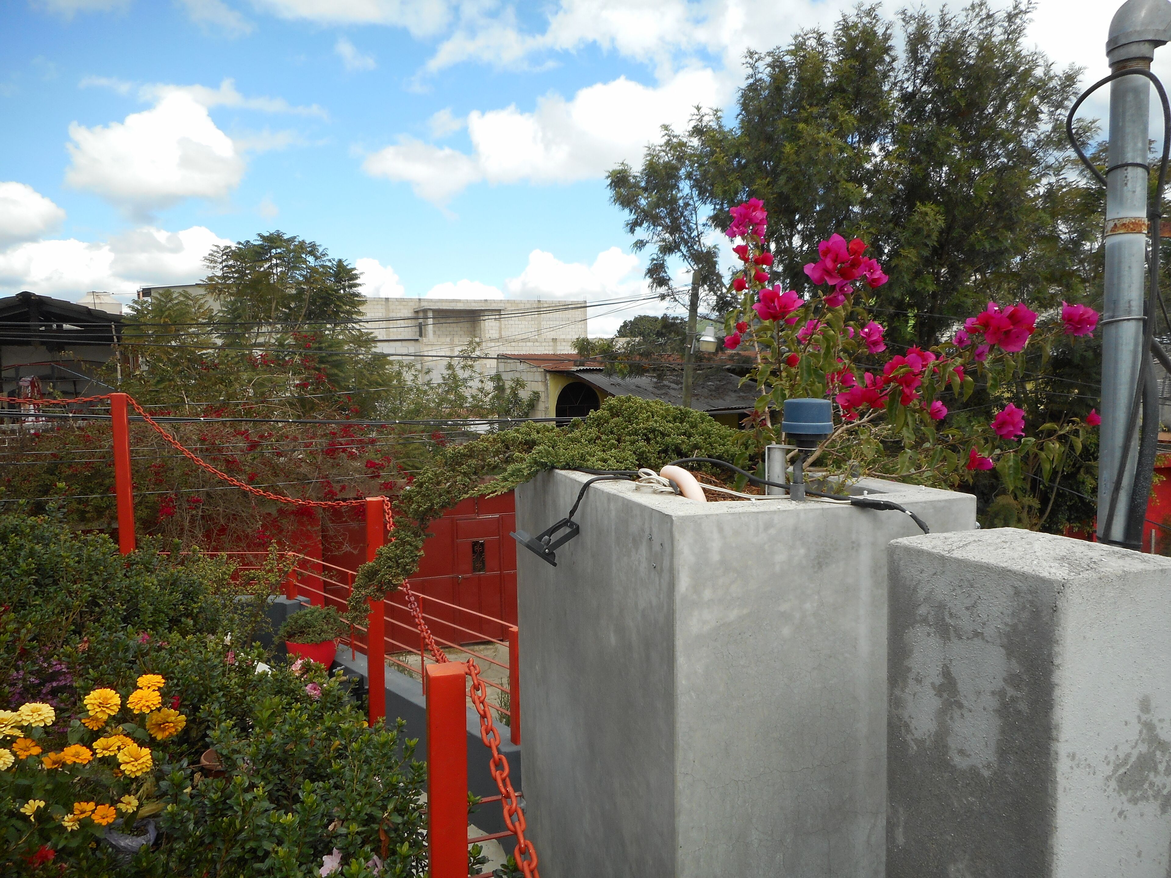 Un giardino con strutture in cemento e piante fiorite.
